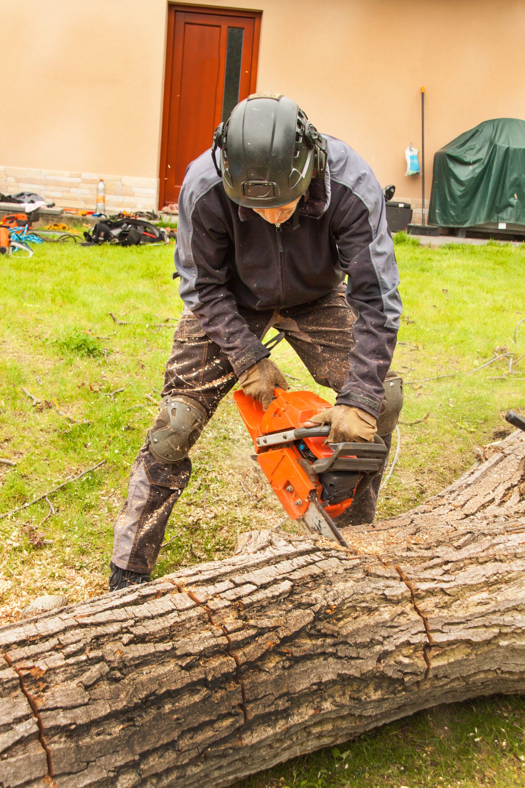 Tree Trimming services, Tree services