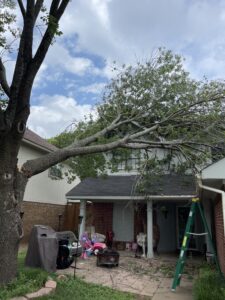 24h emergency tree services